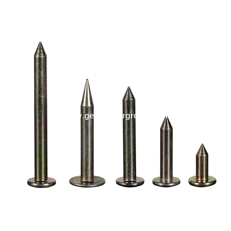 Clou d'enquête en acier