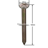 Clou d'arpentage en acier (100 mm)