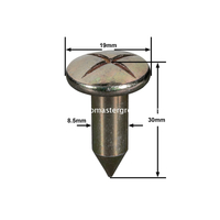Clou d'arpentage en acier (30 mm)