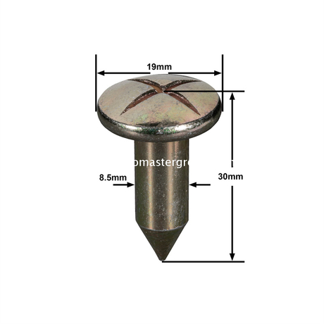 Clou d'arpentage en acier (30 mm)