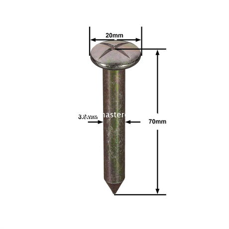 Clou d'arpentage en acier (70 mm)