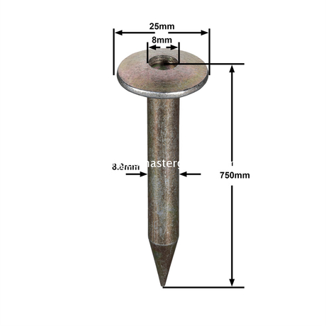 Clou d'arpentage en acier (75 mm)